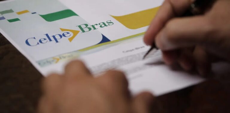 Celpe-Bras, All You Need To Know. Exam Structure And Studying Tips